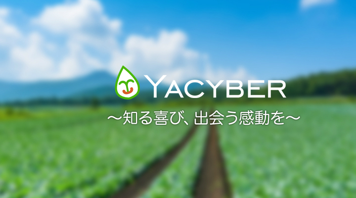 自社プロダクト「YACYBER」